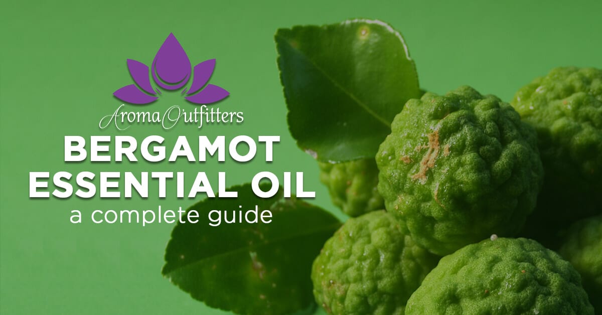 Everything You Need to Know About Bergamot Essential Oil