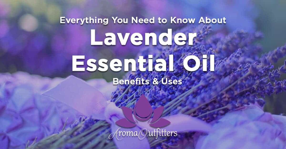 Everything You Need to Know About Lavender Essential Oil Benefits & Uses