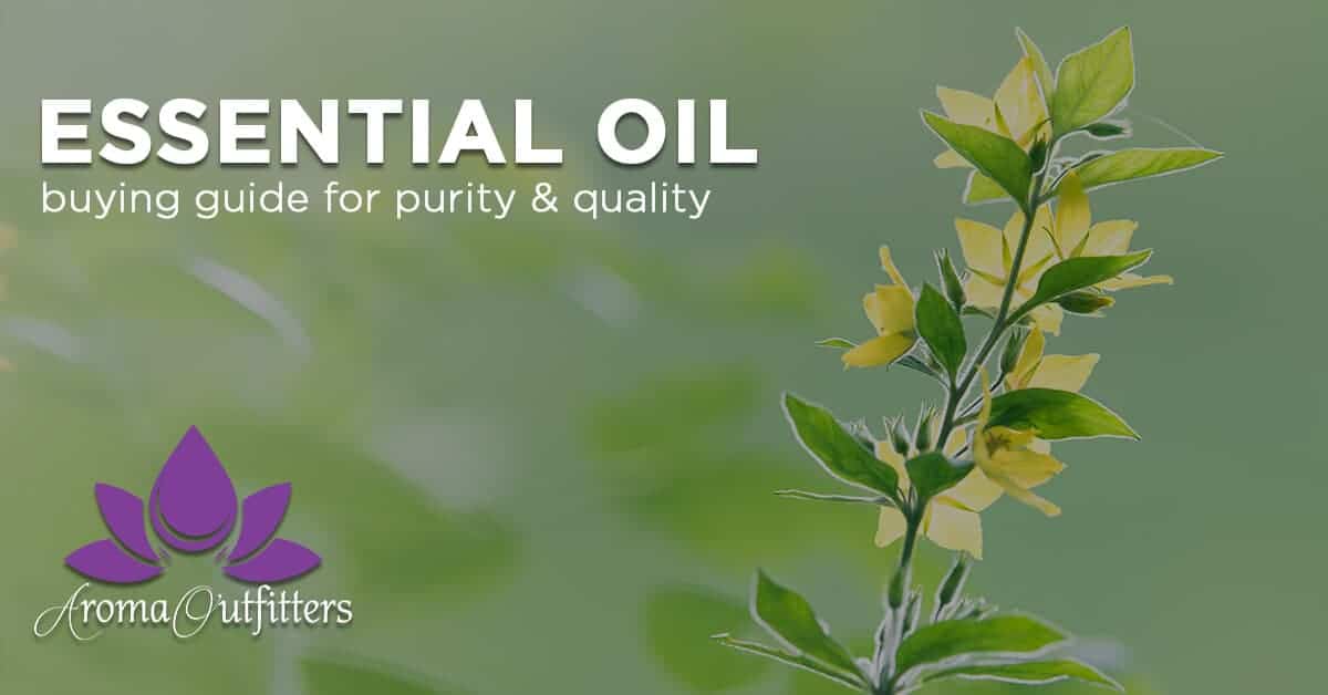 What to Look For When Buying Essential Oils