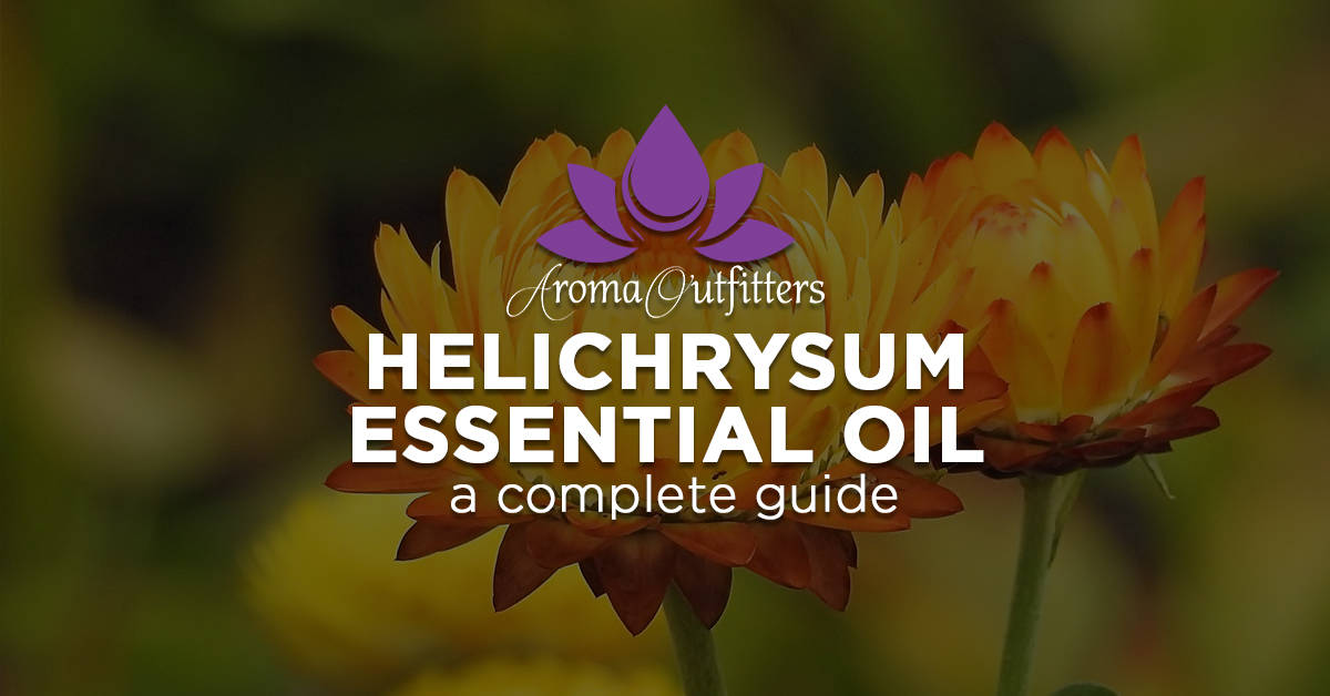 Everything You Need to Know About Helichrysum Essential Oil
