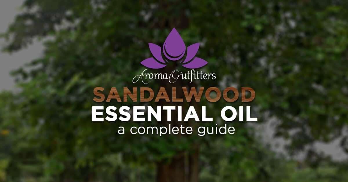 Everything You Need to Know About Sandalwood Essential Oil